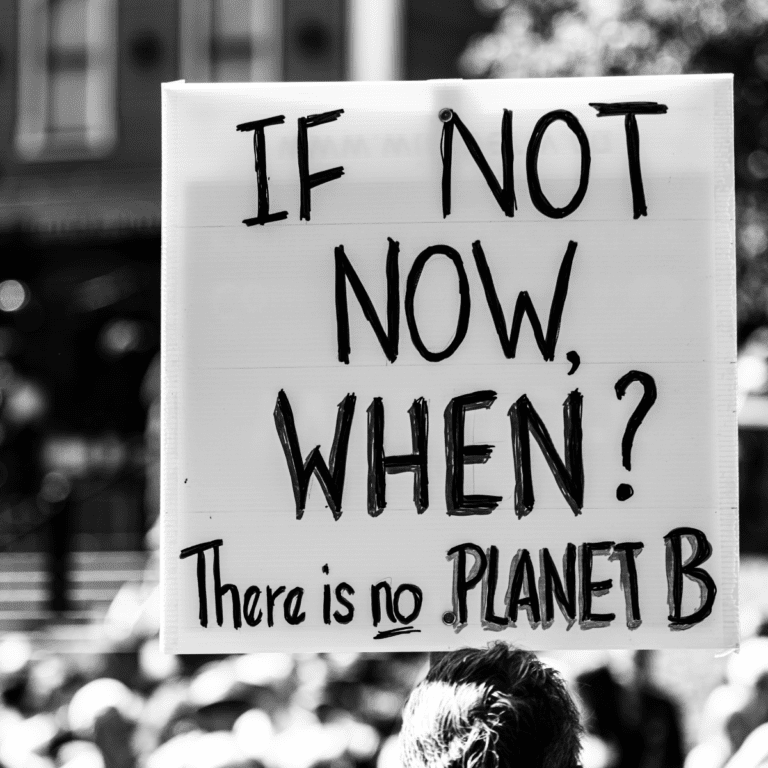 How Climate Change is Influencing Domestic Politics and Policy-Making in Different Countries