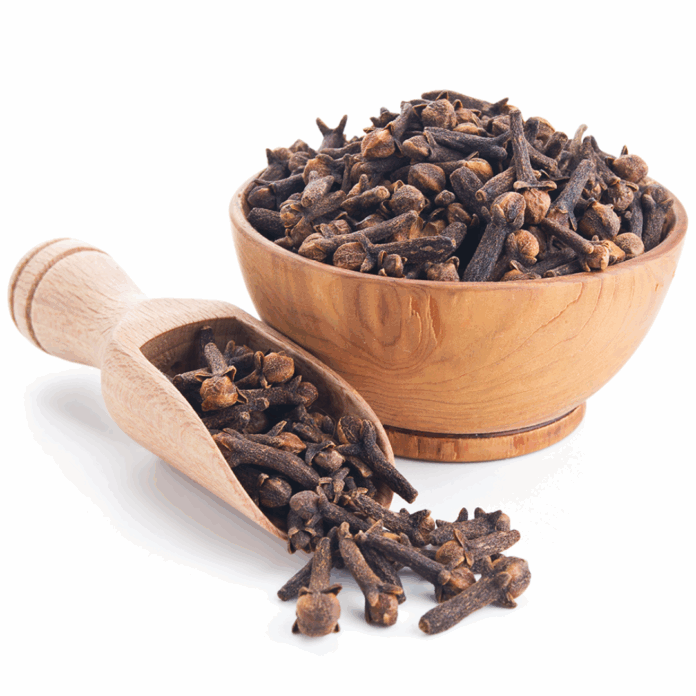 Clove Farming Flourishes in the Volcanic Soil of Ternate