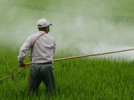 How Pesticides Are Silently Harming Wildlife