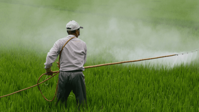 CleanTechTimes How Pesticides Are Silently Harming Wildlife