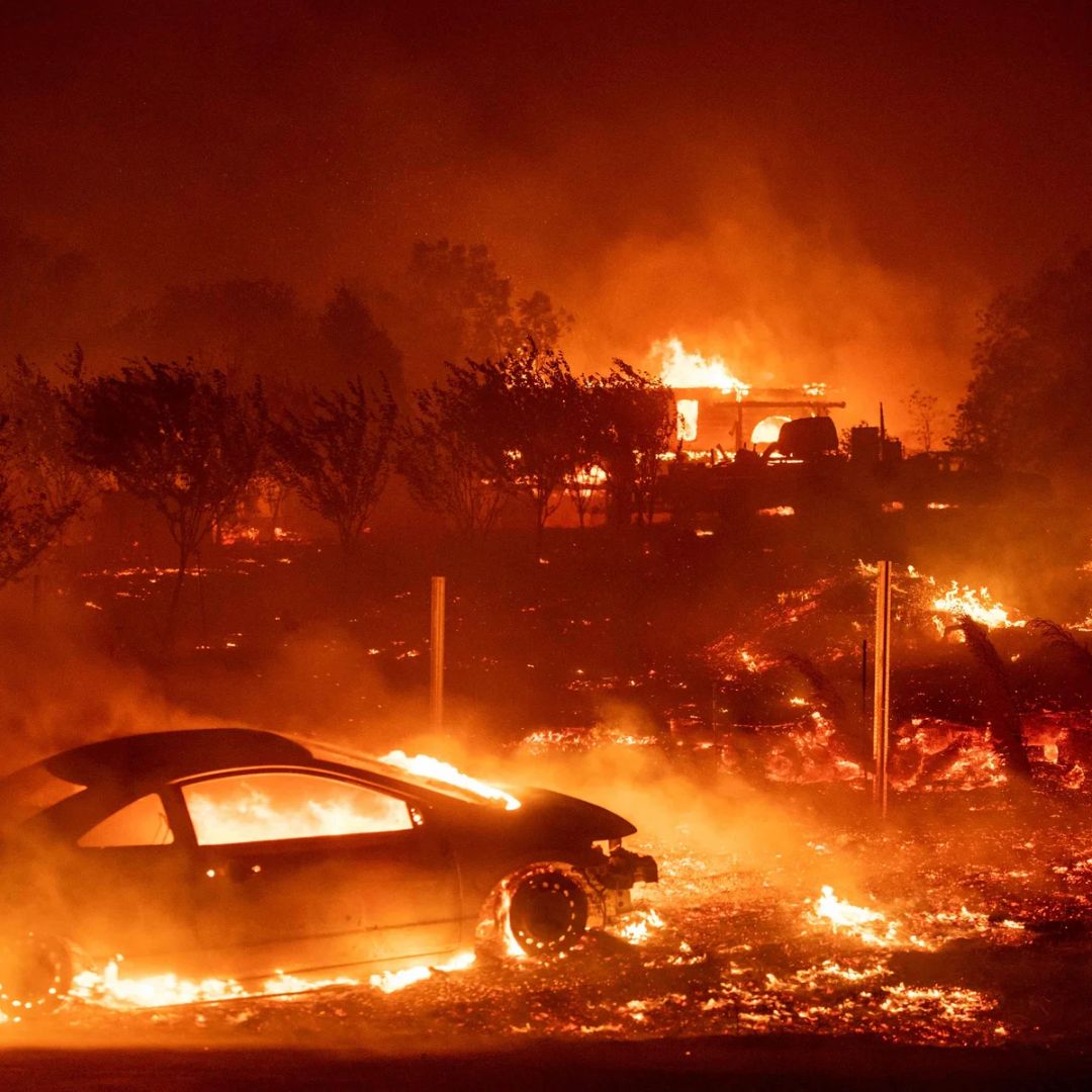 Paradise, USA – Burned to Ashes