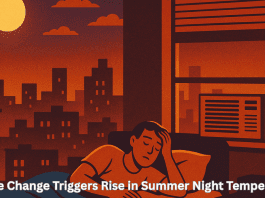 Climate Change Triggers Rise in Summer Night Temperatures