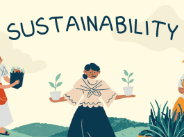 Women-Led Climate Solutions: Breaking Barriers in Sustainability