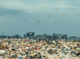 World's Plastic Pollution Crisis: The Global South Takes the Brunt