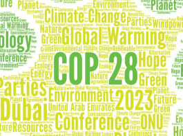 Decoding COP28: Key Takeaways Shaping Global Climate Action