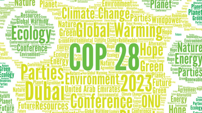 Decoding COP28: Key Takeaways Shaping Global Climate Action