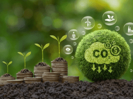 Carbon Pricing : Key to Closing the Emissions Gap
