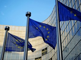 Determined EU Targets 90 Percent Emission Cuts with Help from Abroad