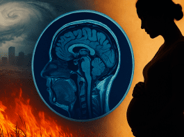 Storm and Heatwaves Impacts Babies’ Brains Before Birth