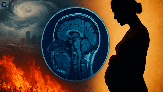 CleanTechTimes Storm and Heatwaves Impacts Babiesâ Brains Before Birth