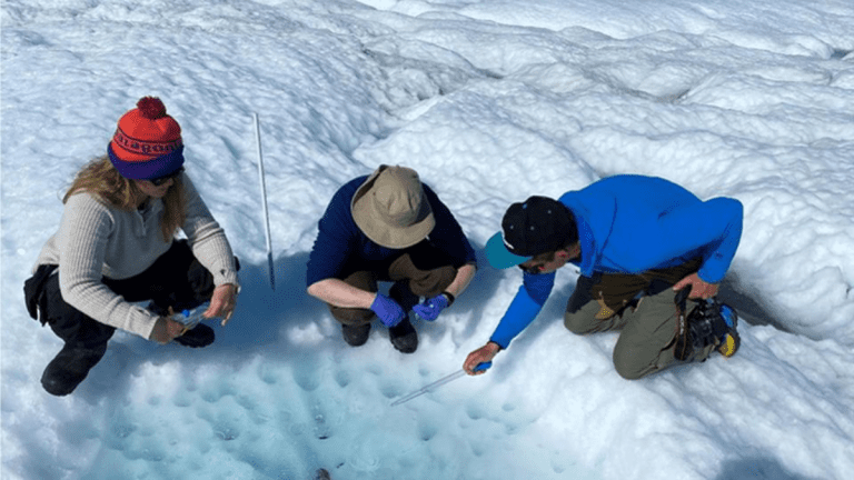 🌍 Algae and Soot Are Teaming Up to Destroy Greenland’s Ice Sheet — WWU Researchers Sound the Alarm