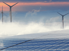 PEZA Unlocks Exciting Green Energy Investment from Poland Roadshow