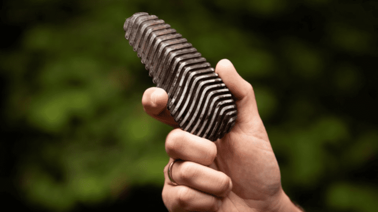 Miracle Device Disguised as Pinecone May Help Prevent Deadly Wildfires