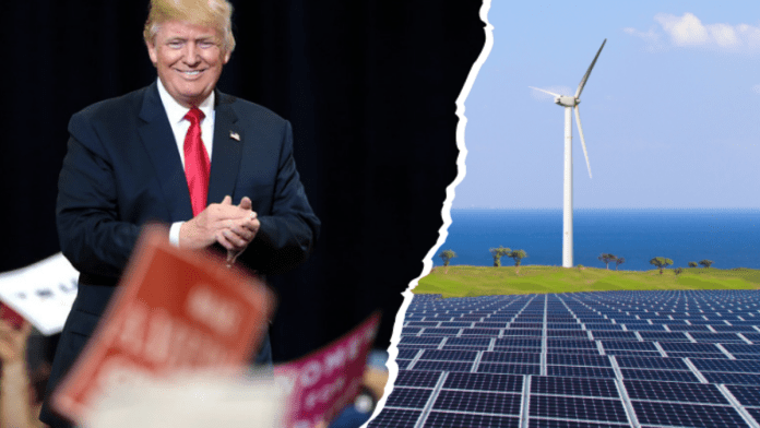 Trump Calls Wind Turbines “Ugly” and a “Con Job” in Fiery Rant Against Renewable Energy