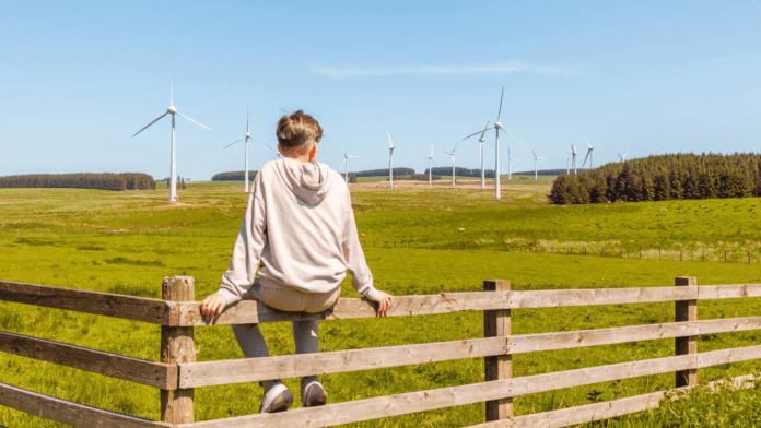 Backyard Wind Turbines Sound Great! but Does it Work?