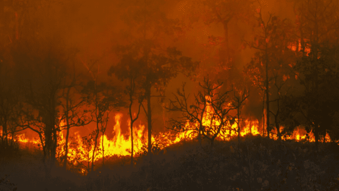 Heatwave worsens wildfire crisis in Italy’s Vesuvius park and France’s south