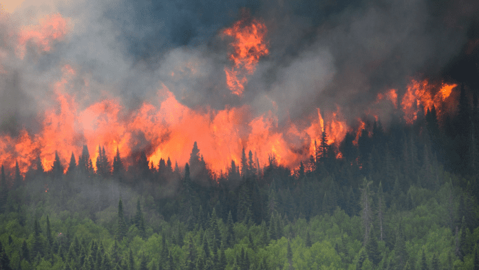Over 700 wildfires burning across Canada in second-worst season on record