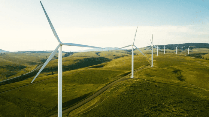 Trump administration cancels $679 million grants for 12 offshore wind projects across the U.S.