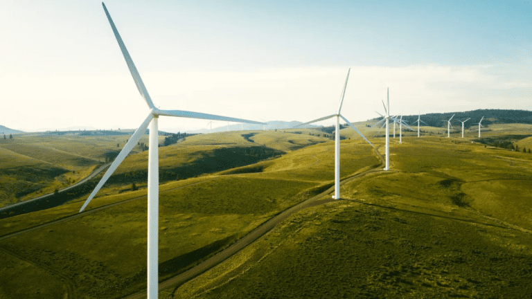 Trump administration cancels $679 million grants for 12 offshore wind projects across the U.S.