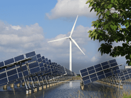 China helps SCO nations cut emissions with advanced renewable energy projects