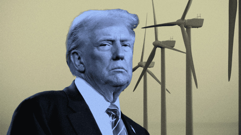 Trump’s war on wind exposed as family secretly builds bitcoin empire powered by Texas turbines