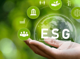 What is ESG? Understanding Environmental, Social & Governance