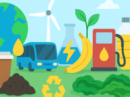 From food scraps to farm waste: 10 energy sources you didn’t expect
