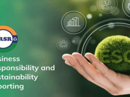 India’s BRSR: Game-Changer for Companies and Investors