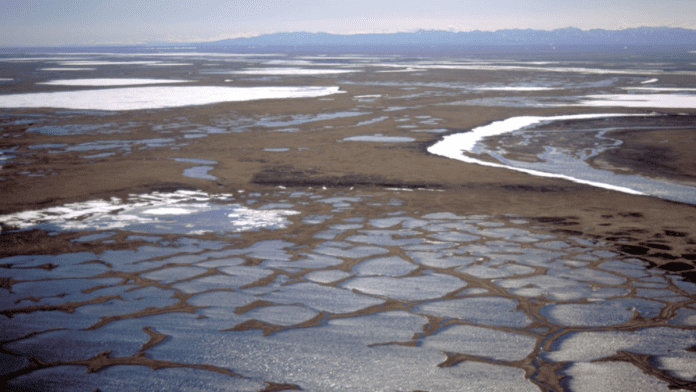 Trump government moves ahead with Alaska oil drilling plan in sensitive wildlife refuge