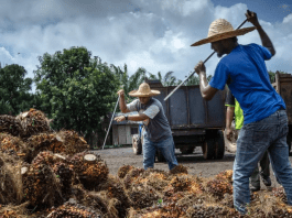 Fifth La Niña in six years strains global food systems and supply chains