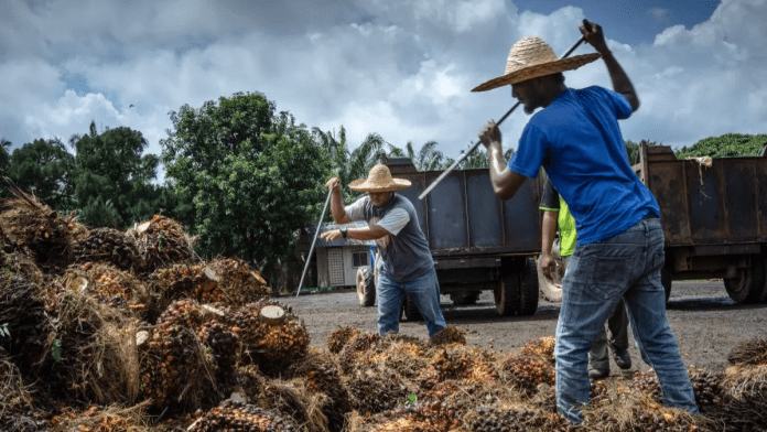Fifth La Niña in six years strains global food systems and supply chains