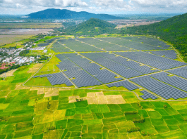 Energizing change: How Viet Nam, the Philippines, and Indonesia are leading in renewable energy
