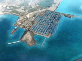 New Chinese-backed megaport in Peru raises concerns for the Amazon rainforest