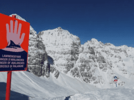 A deadly day in the Austrian Alps as avalanches kill eight skiers