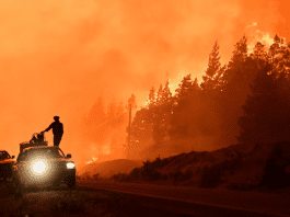 Wildfires tear through south Argentina, burning nearly 12,000 hectares of forest